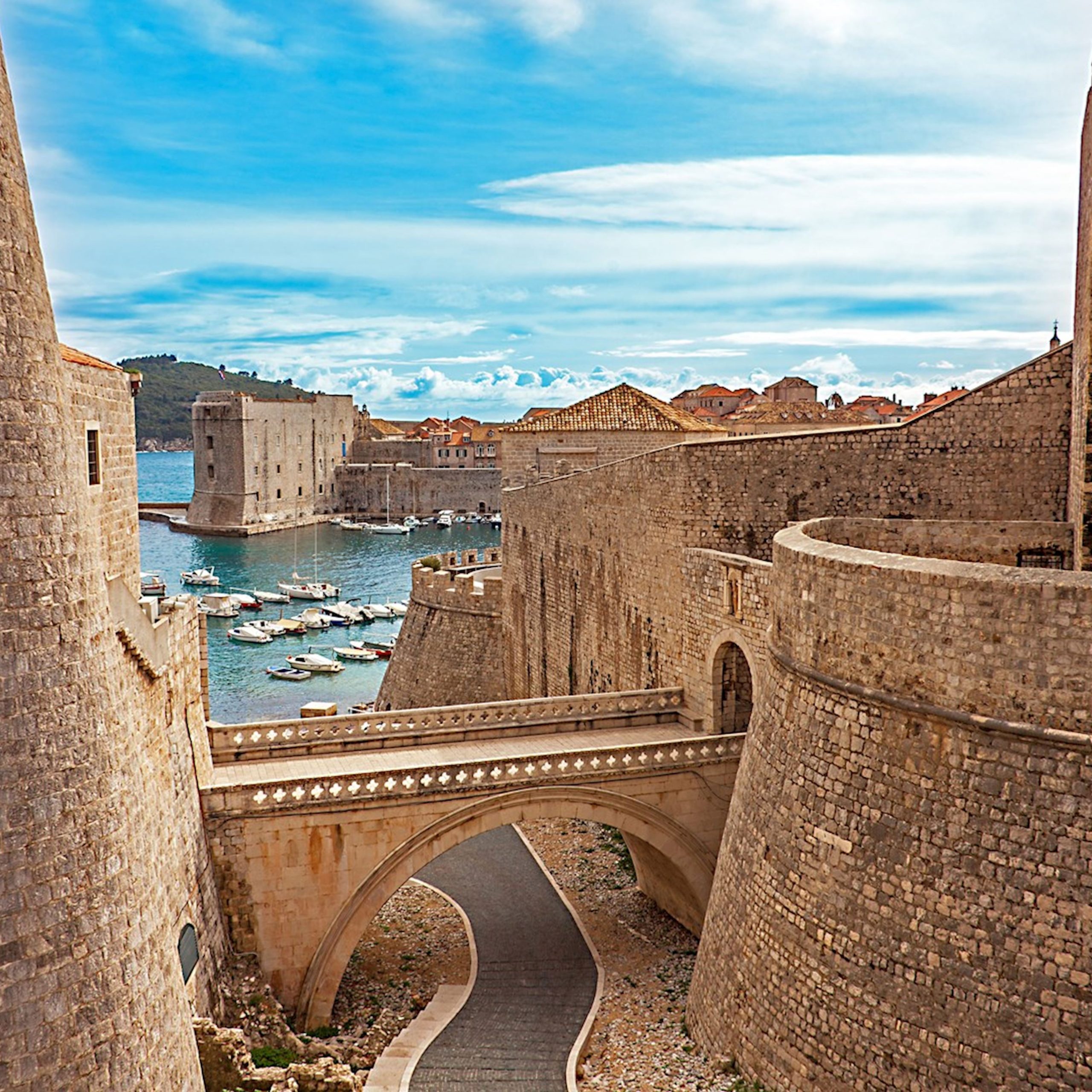 Vetëm për adhuruesit e Game of Thrones ⚔️🔥